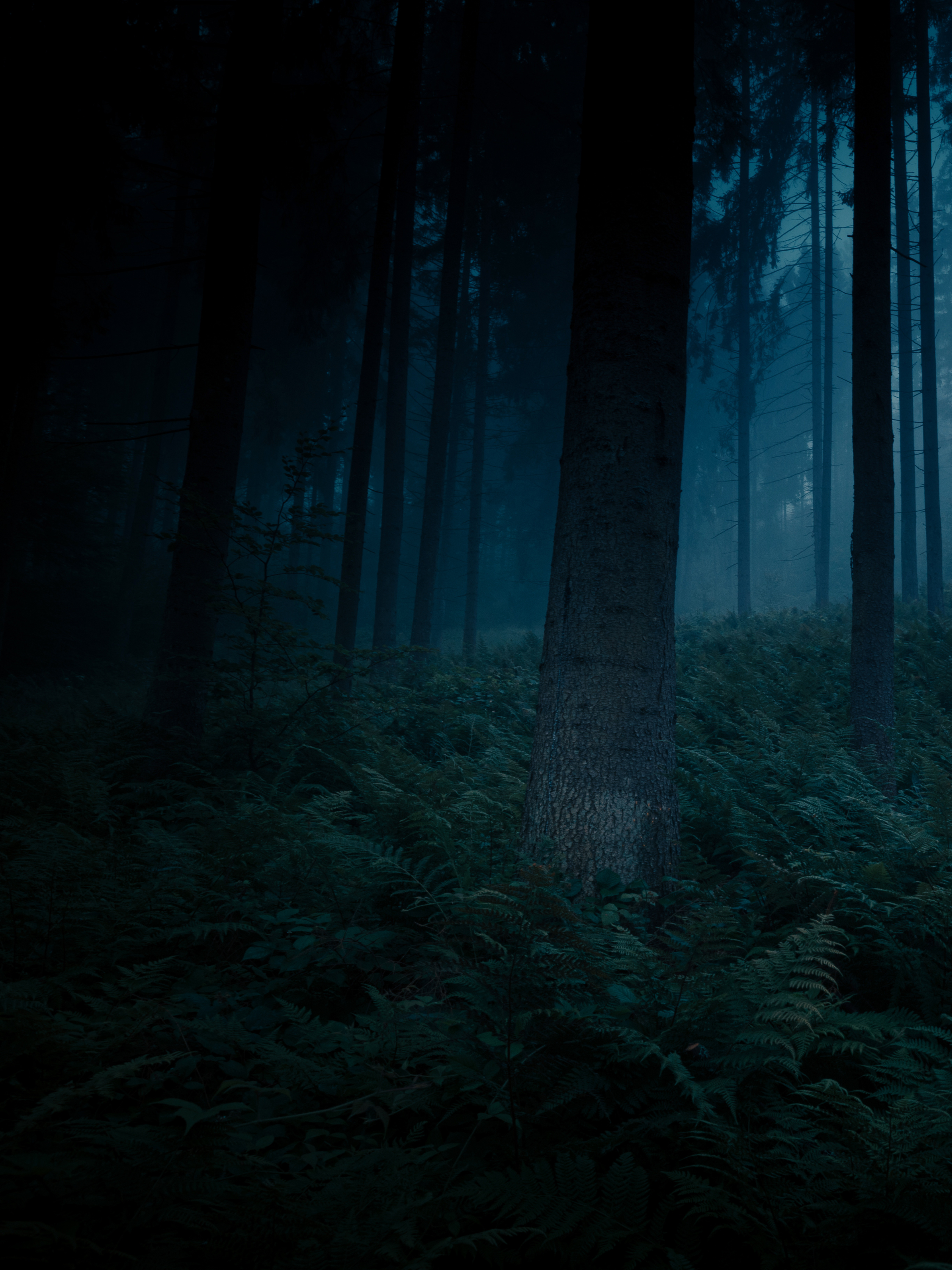 Illustrationswettbewerb Dunkle Geschichten