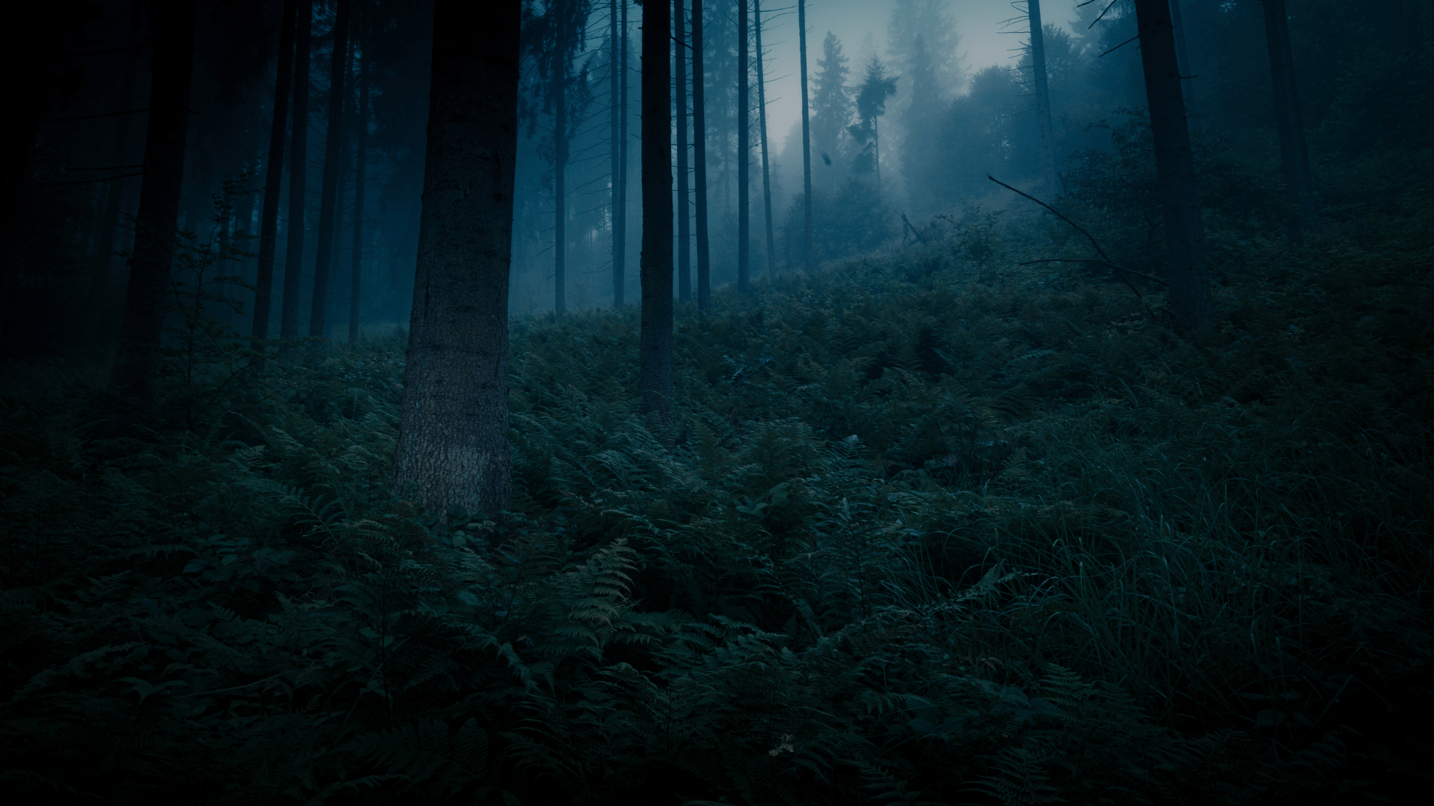 Illustrationswettbewerb Dunkle Geschichten